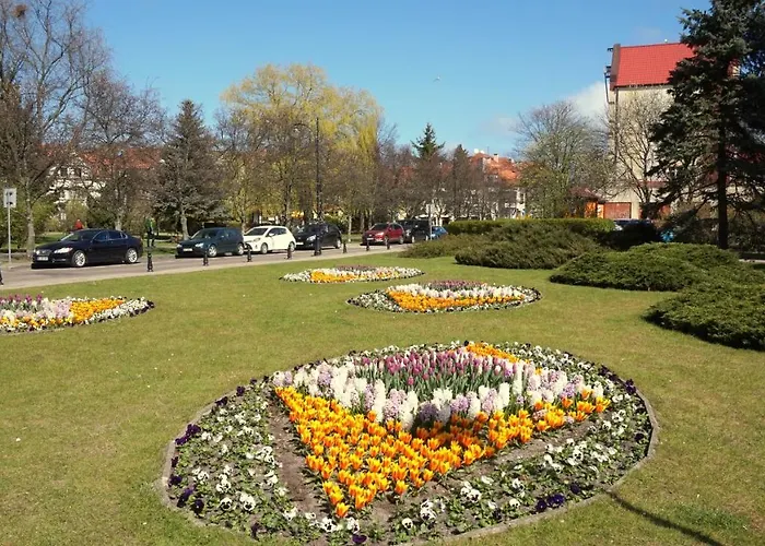 Star - Ogrody Apartment *