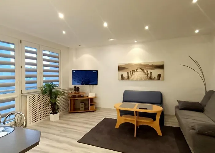 Star - Ogrody Kolberg